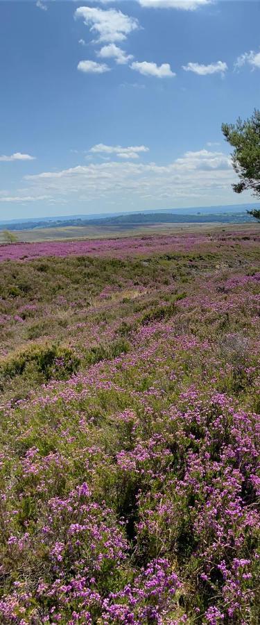 Floyter House North Yorkshire Moors National Park Bed & Breakfast Danby Bagian luar foto